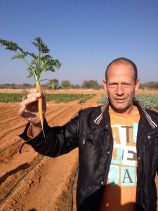 Vegetable growing 3